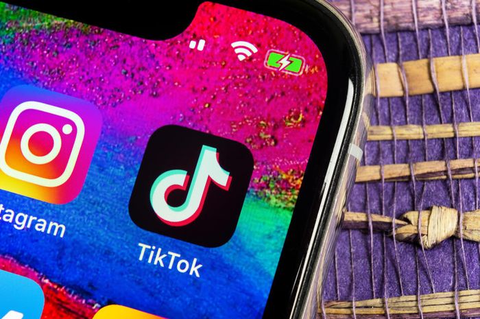 Download Video Tiktok Di Pc. Praktis Banget! Ini Cara Mudah Download Video Tiktok Lewat PC