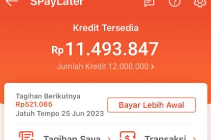 Kenapa Tidak Ada Shopee Paylater. Kenapa Shopee PayLater Tidak Bisa Digunakan? Ini Alasan dan Solusinya