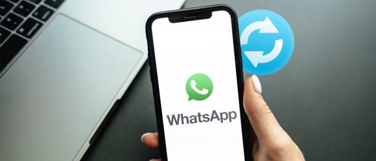 Cara Mengembalikan Akun Whatsapp Yang Terhapus. Cara Mengembalikan Akun WhatsApp yang Terhapus di Android, Aman No Root!