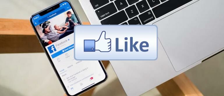 Cara Agar Like Di Fb Banyak. 7 Cara Mendapatkan Like Banyak di FB Otomatis Aman & Legal, Bisa Tanpa Aplikasi!