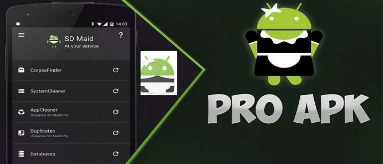 Download Sd Maid Pro. Download SD Maid PRO APK 5.3.19 Terbaru 2022, Pro Unlocked Gratis & No Ads