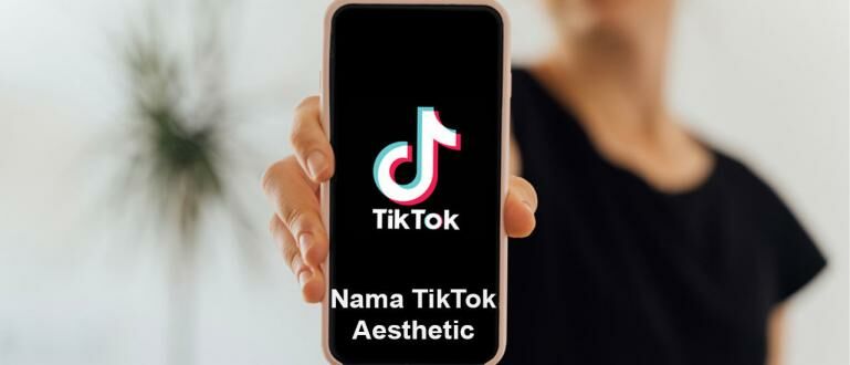 Nama Tiktok Yang Bagus Untuk Perempuan. 417 Nama TikTok Aesthetic yang Keren dan Terbaru 2024, Anti-Mainstream & FYP!