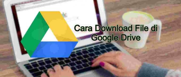 Cara Mendownload File Dari Google Drive. Cara Download File di Google Drive Terlengkap dan Paling Mudah, Bisa dari HP & PC