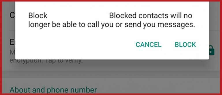 Cara Membuka Orang Yang Memblokir Kita Di Whatsapp. Cara Membuka Blokir WA Orang yang Memblokir Nomor Kita, Mudah Banget!