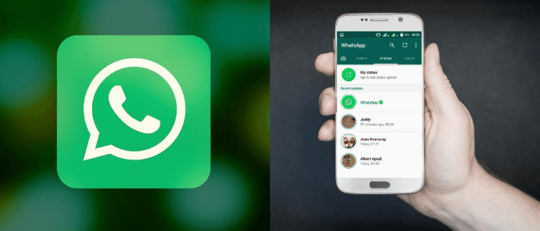 Apk Download Story Wa. 7 Aplikasi Download Status WA Android & iOS Terbaik 2023, Gratis!