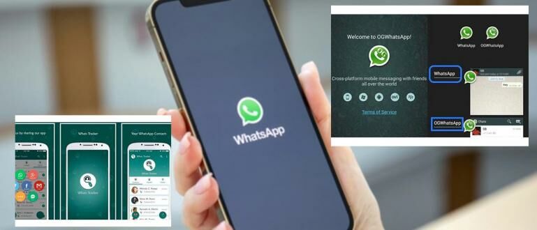 Download Aplikasi Whatsapp Ilegal. 5 Aplikasi WhatsApp Terlarang Super Canggih 2023, Nikmati Fitur Eksklusif Tanpa Batas!