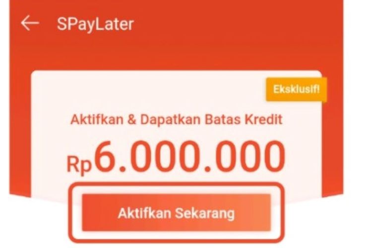 Beli Sekarang Bayar Nanti Shopee Maksudnya. Kredit Gampang Bunga Kecil, Pakai Shopee PayLater Aja: Beli Sekarang, Bayar Nanti