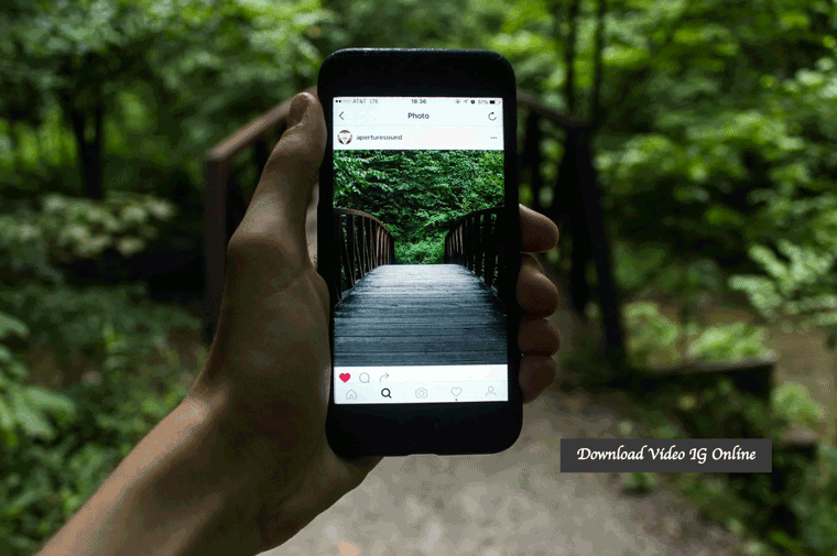 Download Video Melalui Link. 6 Layanan Download Video IG Online Gratis Menggunakan Link