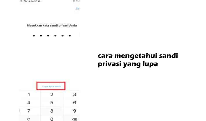 Cara Mengetahui Sandi Hp Oppo. Cara Mengetahui Sandi Privasi Yang Lupa Emang Bisa? Ini Penjelasanya