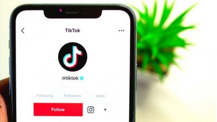 Syarat Centang Biru Di Tiktok. Cara Mudah Bikin Akun TikTok Jadi Centang Biru, Penuhi 5 Syarat Penting Berikut Ini, Wajib Dicatat!