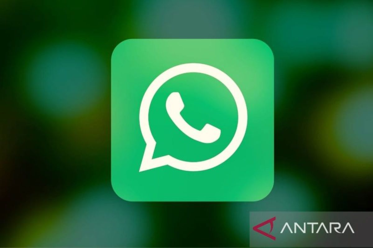 Aplikasi Like Instagram Iphone. WhatsApp uji coba tombol 