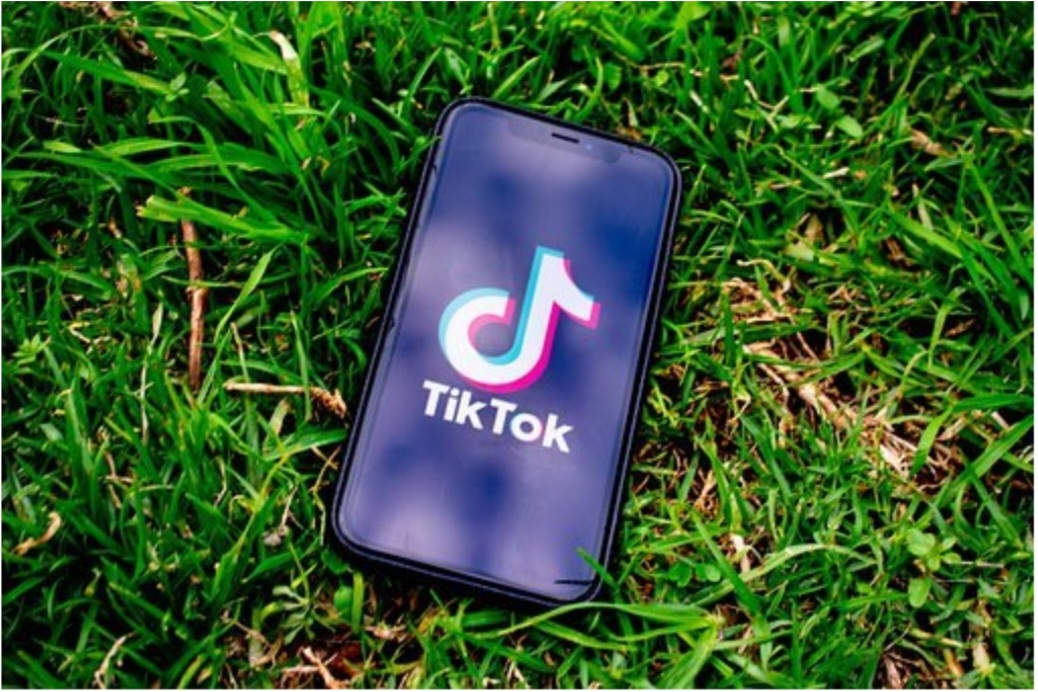 Cara Download Video Dari Tiktok Tanpa Watermark. 5 Cara Download Video TikTok Tanpa Watermark, Tanpa Aplikasi!