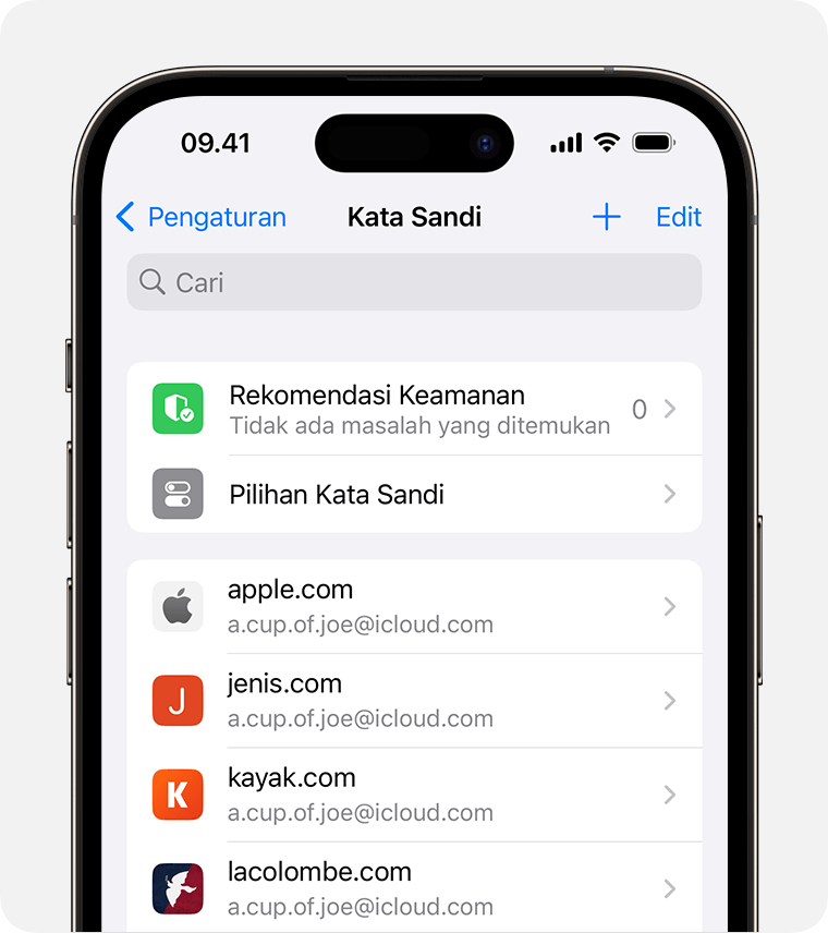 Cara Mengecek Kata Sandi Email. Menemukan kata sandi dan kunci sandi yang disimpan di iPhone