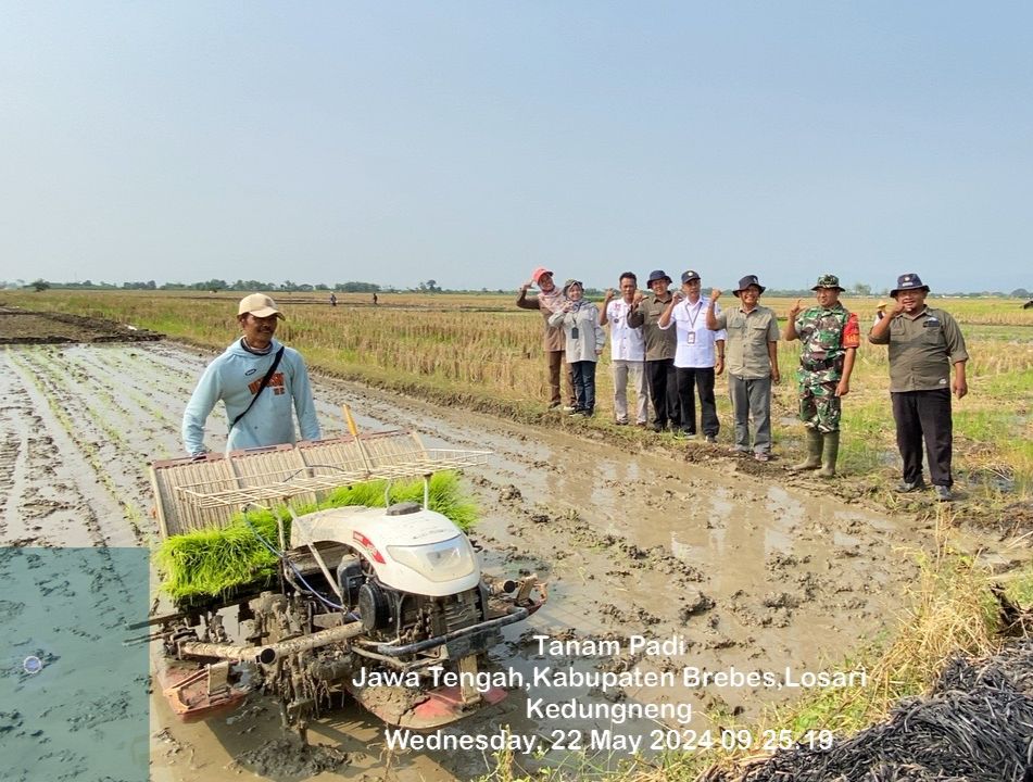 Cara Cek Kuota Kartu As. Cara Mengecek Kuota Pupuk Bersubsidi Tahun 2023 Bagi Petani