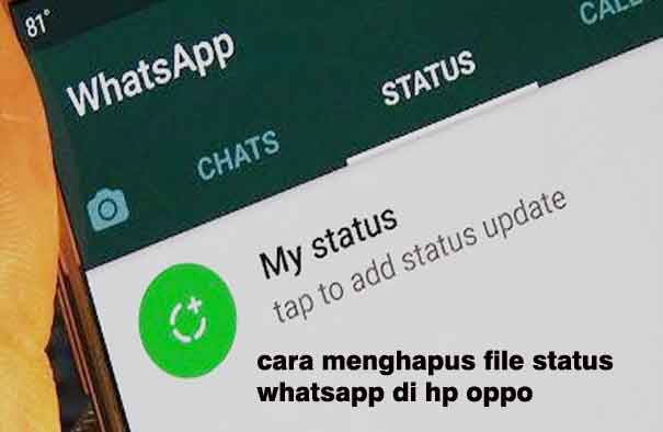 Cara Menghapus File Status Whatsapp Di Hp Oppo. Cara Menghapus File Status WhatsApp di Hp Oppo Lengkap Jamin Berhasil