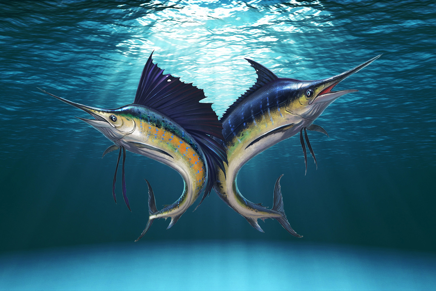 Go For Speed Sub Indo. Sailfish vs. Marlin: the Battle of the Bills