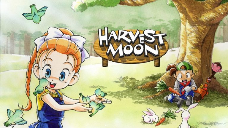 Anak Harvest Moon Back To Nature Sudah Besar. 10 Hal yang Masih Menjadi Misteri dalam Harvest Moon Back to Nature