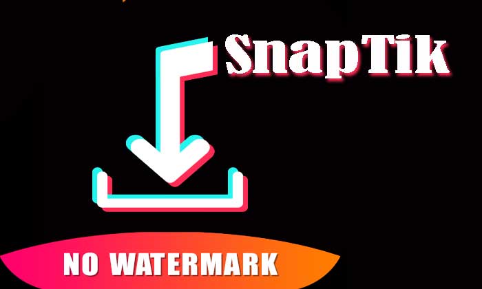 Snaptik Download Tiktok Video No Watermark. SnapTik, Video Tiktok No Watermark