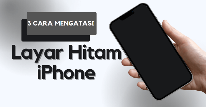 2 Whatsapp Dalam 1 Hp Iphone. Layar iPhone Hitam Tapi Mesin Hidup? 3 Cara Efektif Mengatasi Layar Hitam iPhone