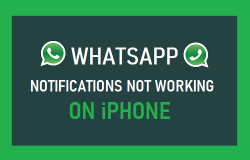 Cara Mengubah Notifikasi Wa Seperti Iphone Tanpa Aplikasi. 10 Cara Mengatasi WhatsApp Tidak Ada Notifikasi di iPhone