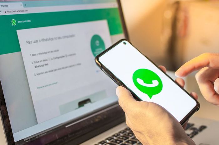 Cara Melihat Terakhir Dilihat Wa Yang Disembunyikan. 3 Cara Melihat Terakhir Dilihat WhatsApp yang Disembunyikan, Ternyata Praktis!