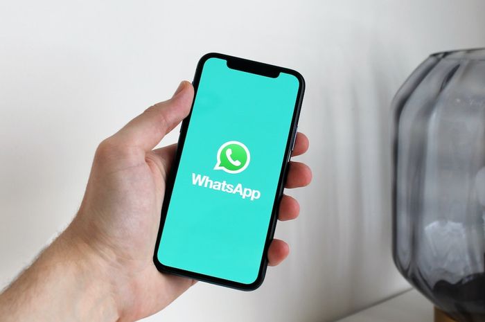 Cara Melihat Wa Orang Lain Yang Sudah Dihapus. Cara Melihat Chat Whatsapp Pasangan yang Sudah Dihapus, Gak Bakal Ketahuan Kepo!