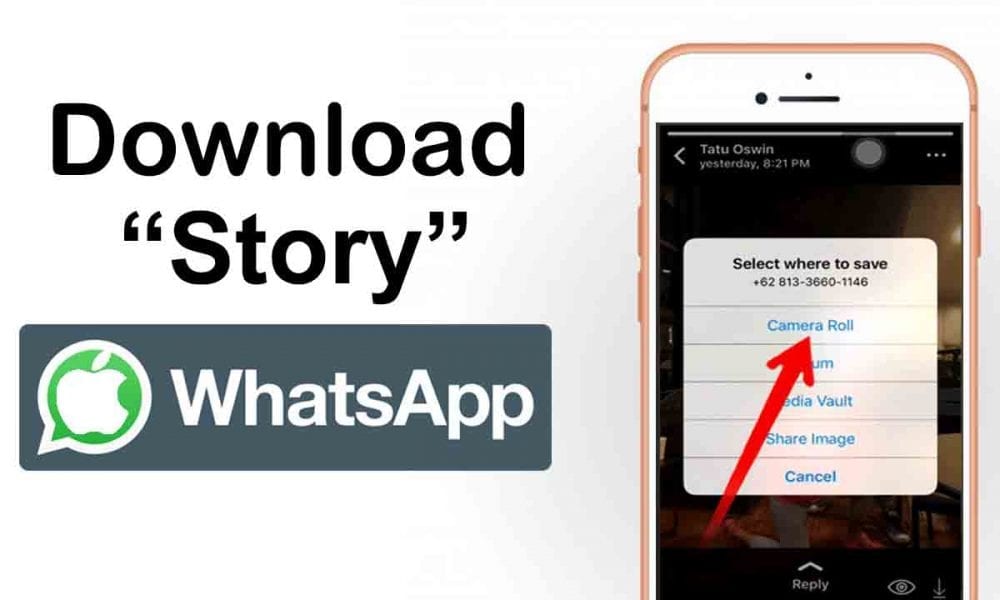 Cara Save Story Wa Iphone. Cara Download Video Story WhatsApp di iPhone