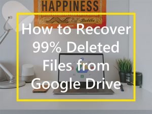 Cara Mengembalikan File Yang Terhapus Permanen Di Google Drive. [Langkah 5] Cara Memulihkan 99% File Terhapus dari Google Drive