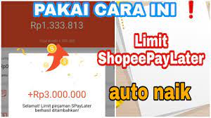 Limit Shopee Paylater 15 Juta. Begini Syarat dan Tips Menaikkan Limit Shopee PayLater dengan Mudah dan Cepat, Belanja Jadi Makin Seru!