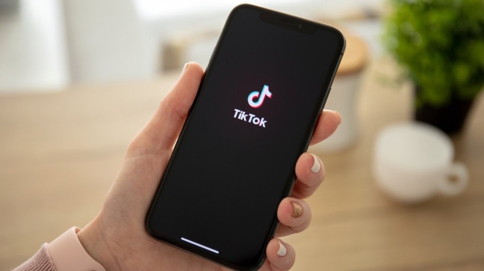 Download Video Tiktok Tanpa Watermark 2020. Download Video TikTok Tanpa Watermark, Pakai 3 Website Ini