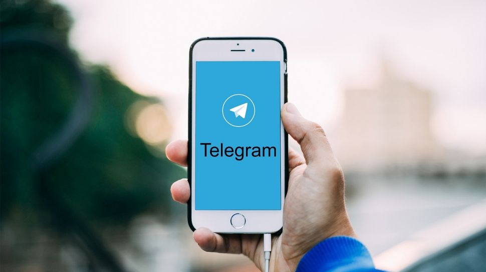 Cara Mendownload Film Di Telegram. Cara Mendownload Video Telegram dari Android, Mudah Banget!