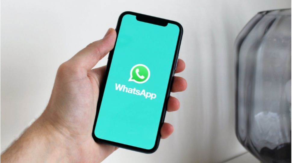 Cara Menonaktifkan Online Di Whatsapp. Cara Menonaktifkan Status Online di WA