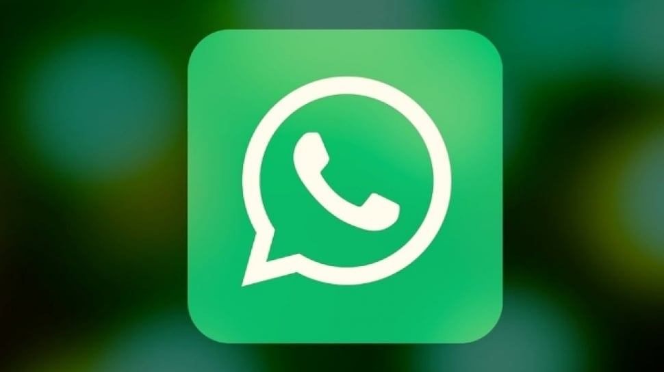 Kenapa Notifikasi Wa Tidak Muncul. Jangan Panik! Ini Cara Mengatasi Notifikasi WhatsApp Tidak Muncul