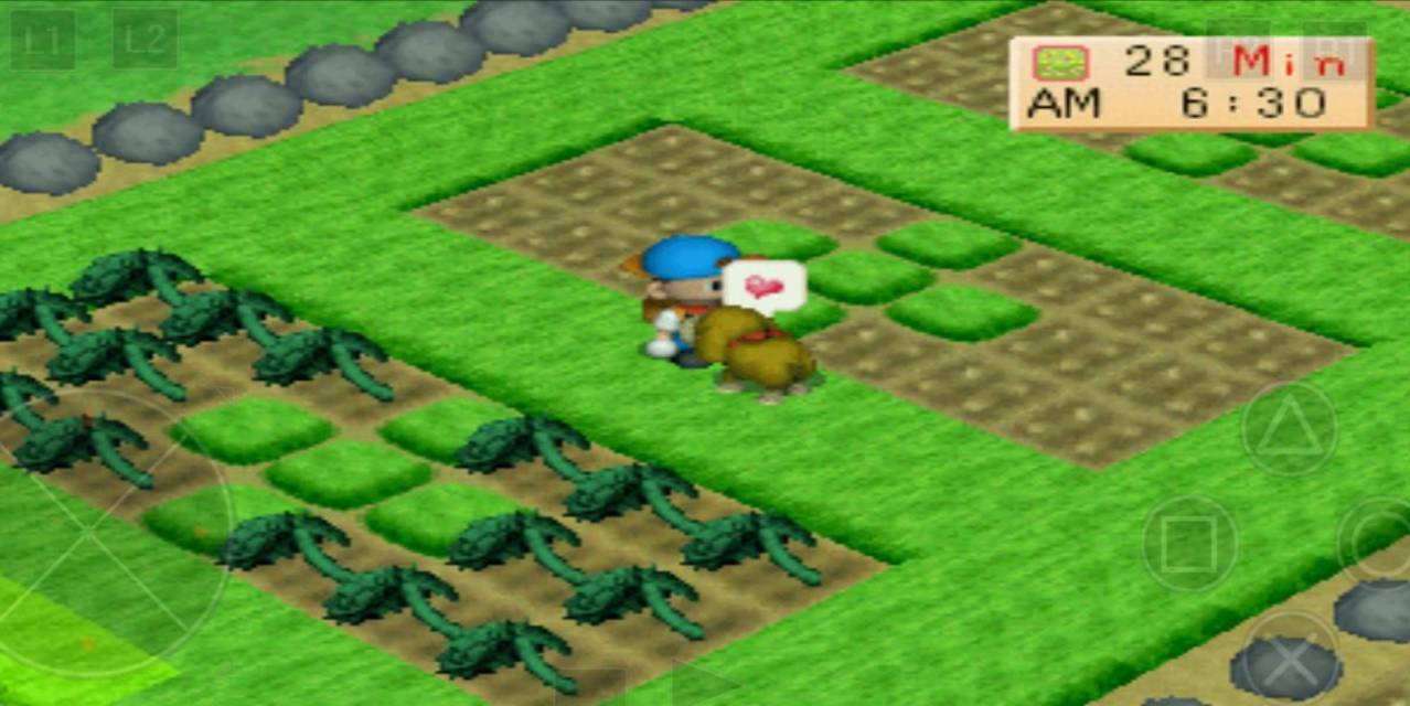 Harvest Moon On Android. Cara Main Harvest Moon: Back to Nature di Android