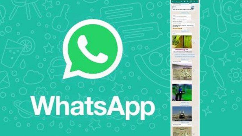 Cara Screenshot Panjang Di Whatsapp Tanpa Aplikasi. Cara Screenshot Panjang di WhatsApp Semua Jenis Ponsel Tanpa Pakai Bingung