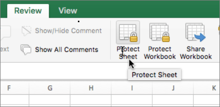 Membuka Protect Sheet Excel. Memproteksi lembar kerja di Mac