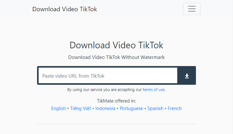 Download Vidio Tik Tok No Watermark. Tiktok Downloader, Download Video TikTok no Watermark