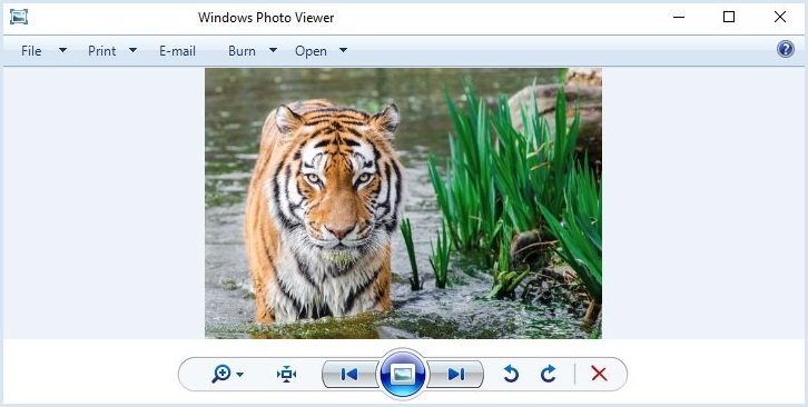 Cara Mengembalikan Windows Photo Viewer Windows 10. Cara Mengembalikan Windows Photo Viewer di Windows 10