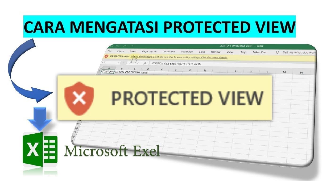 Protected View Excel 2010. 2 Cara Membuka Protected View Excel yang Wajib Dicoba