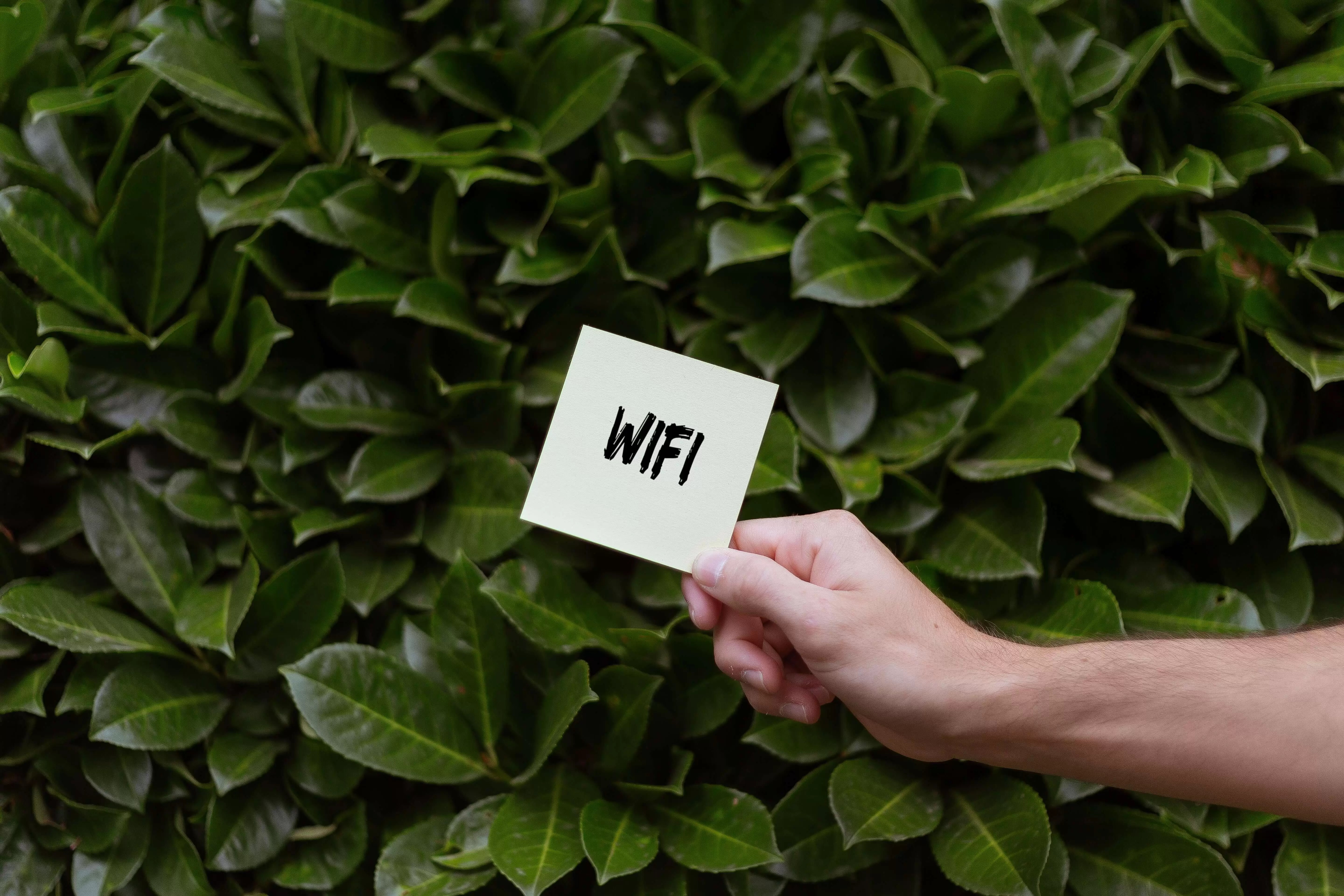 Cara Mempercepat Koneksi Wifi. Cek Cara Mempercepat Koneksi WiFi di Laptop dan HP, Anti Lemot!