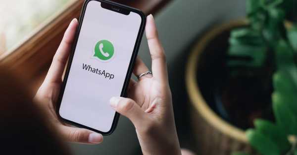 Cara Mengetahui Nomor Wa Orang Yang Tidak Dikenal. 5 Cara Melacak Nomor WhatsApp yang Tidak Dikenal