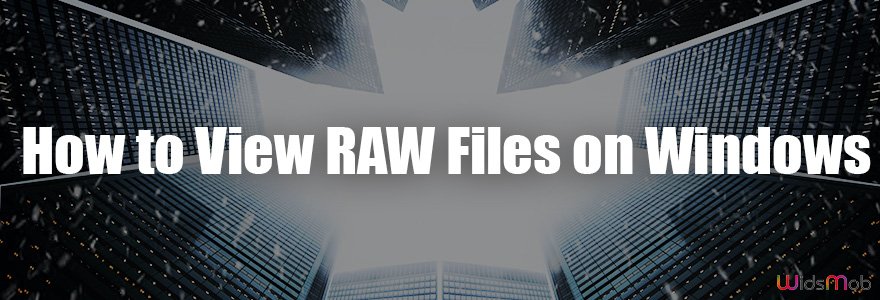 Aplikasi Untuk Membuka File Raw. Tutorial Membuka dan Melihat File RAW di Windows 11