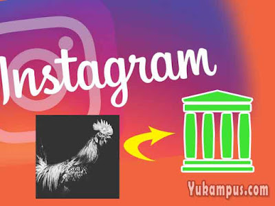 Cara Melihat Foto Yang Disembunyikan Di Instagram. Cara Melihat Foto Instagram yang Disembunyikan (Archive)